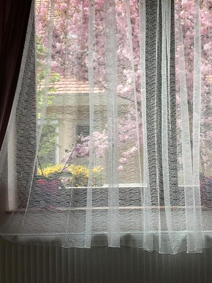 Casa Marherita Appartman Hajdúszoboszló Kültér fotó