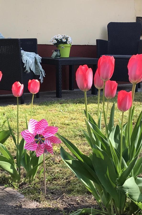 Casa Marherita Appartman Hajdúszoboszló Kültér fotó